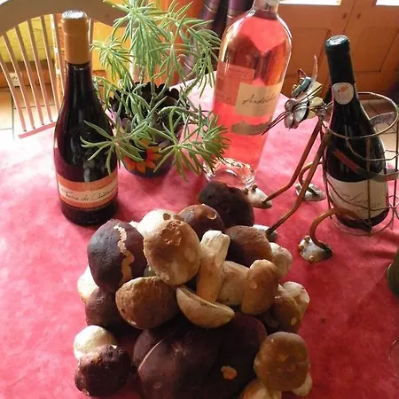 Retour Aux Sources 3*